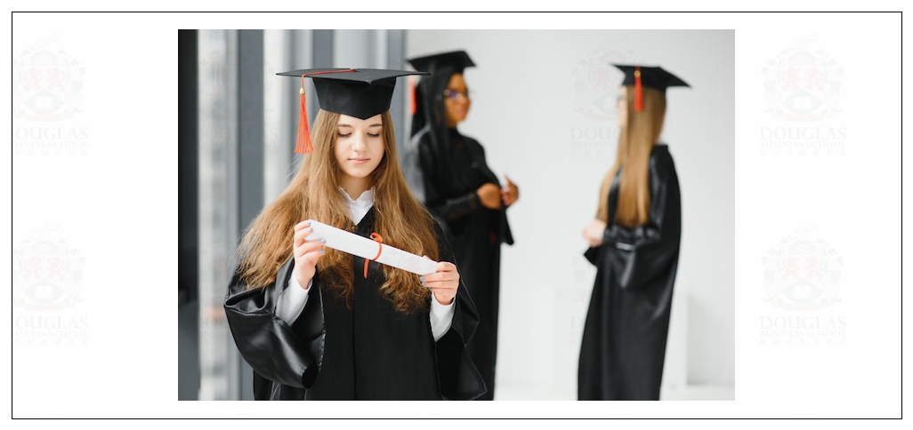 国际硕士,网上教学容易学习